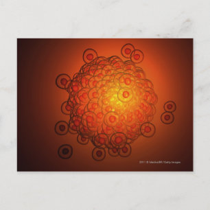 Magnified look at an ovum postcard