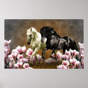 Magnolia Alley - Poster