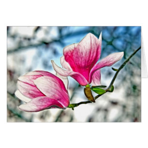 Magnolia And Blue Sky