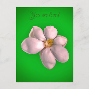 Magnolia art postcard