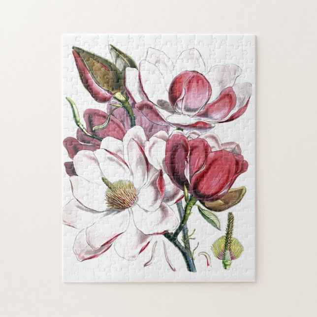 Magnolia Asian Flower Vintage Old Illustration Jigsaw Puzzle (Vertical)