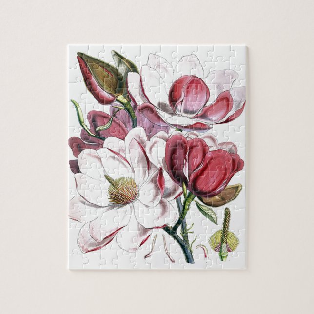 Magnolia Asian Flower Vintage Old Illustration Jigsaw Puzzle (Vertical)