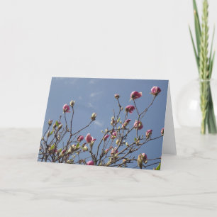 Magnolia Blank Greeting Card