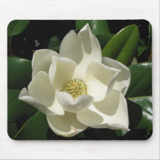 Magnolia Bloom Mouse Pad
