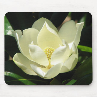 Magnolia Bloom Mouse Pad
