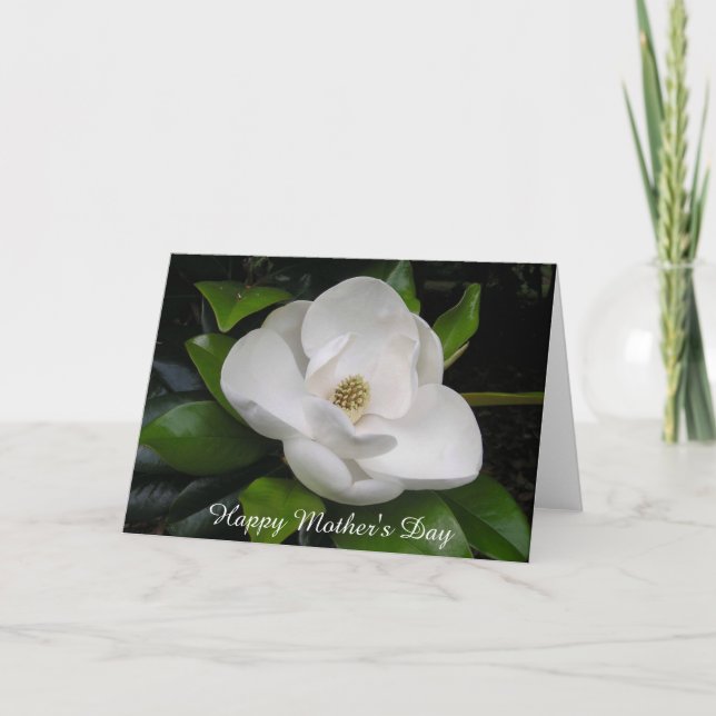 Magnolia Blossom Greeting Card (Front)