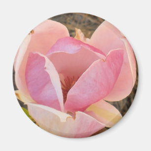 Magnolia Blossom Magnet