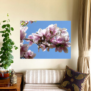 Magnolia Blossom Photo Print
