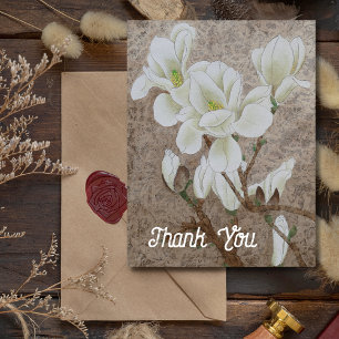 Magnolia Blossom  Postcard