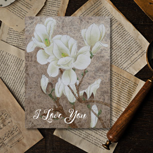 Magnolia Blossom Postcard