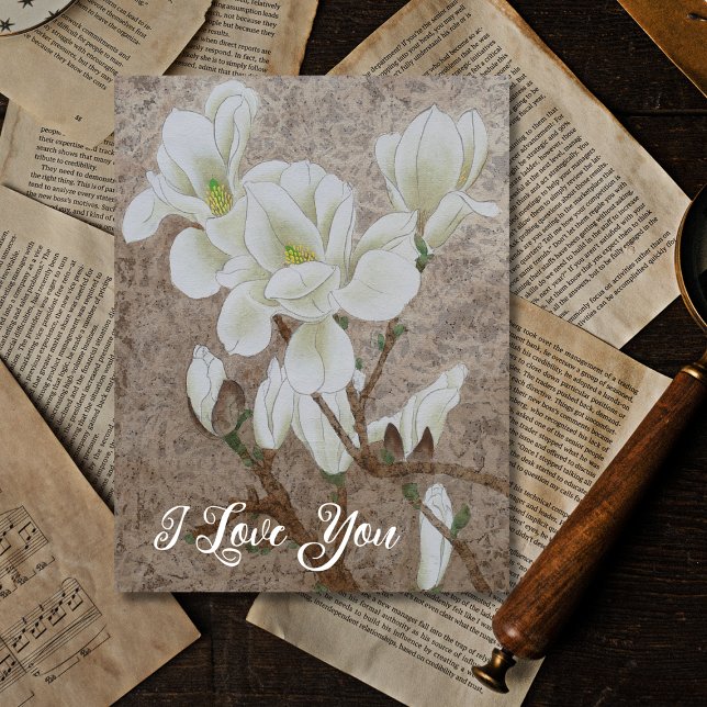 Magnolia Blossom  Postcard (Creator Uploaded)