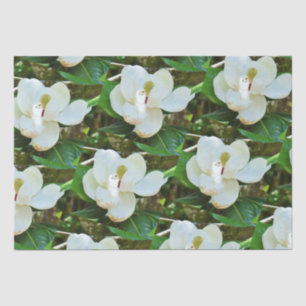 Magnolia Blossoms Tissue Paper