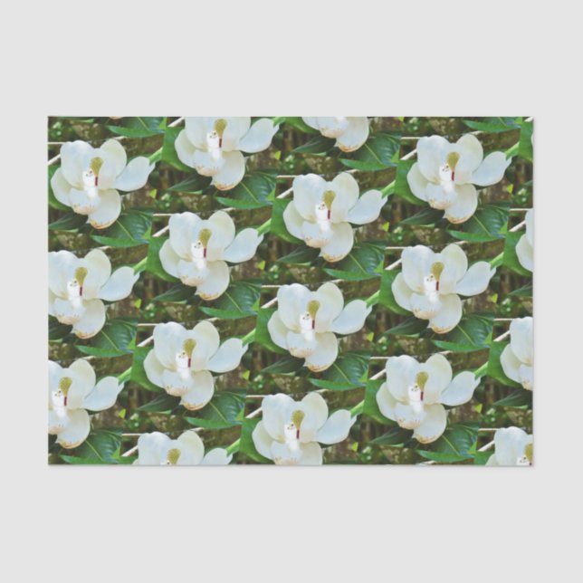 Magnolia Blossoms Tissue Paper (Front)