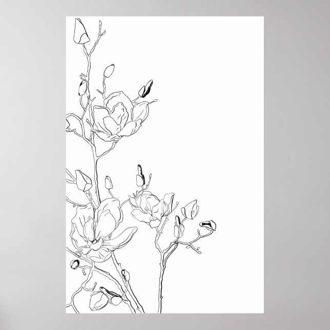 Magnolia Botanical Line Art Poster (Front)