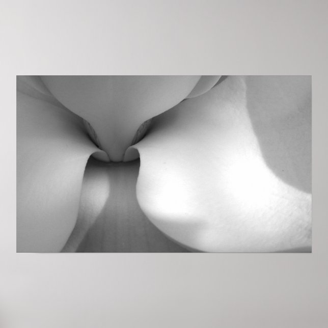 Magnolia Canvas Print (Front)