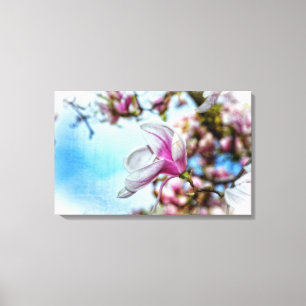 Magnolia Canvas Print