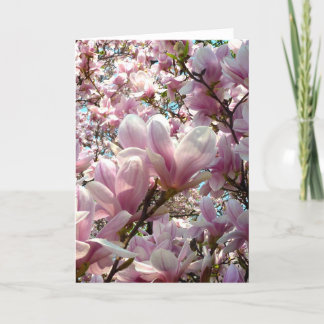 Magnolia Card