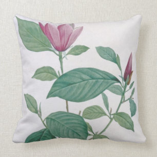 Magnolia discolour, engraved by Legrand (colour Cushion