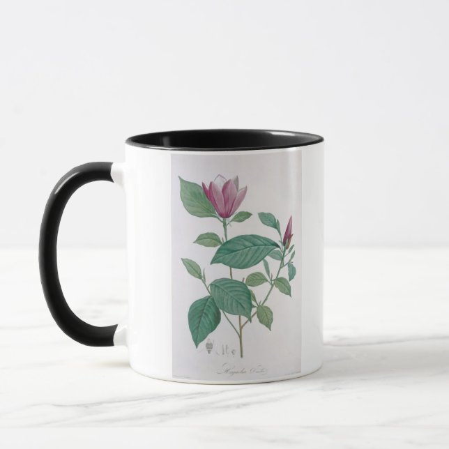 Magnolia discolour, engraved by Legrand (colour Mug (Left)