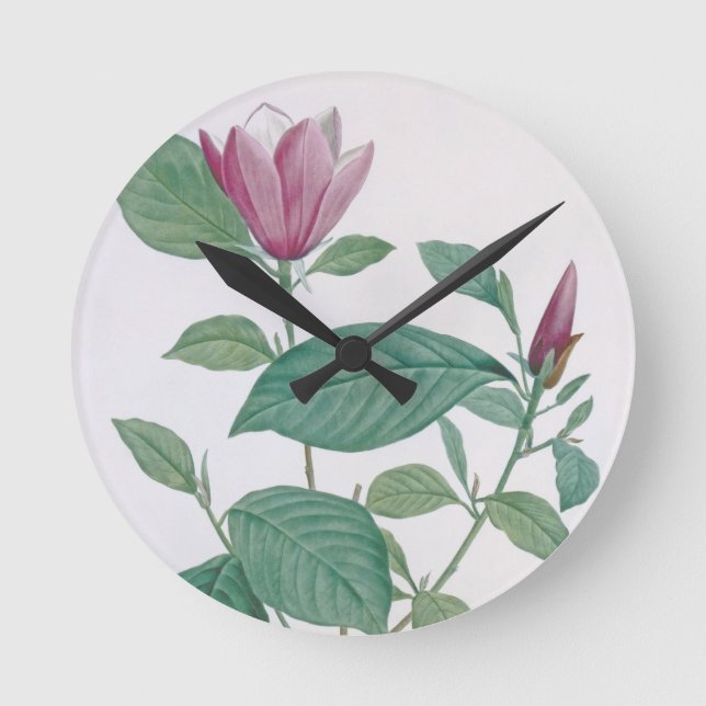 Magnolia discolour, engraved by Legrand (colour Round Clock (Front)