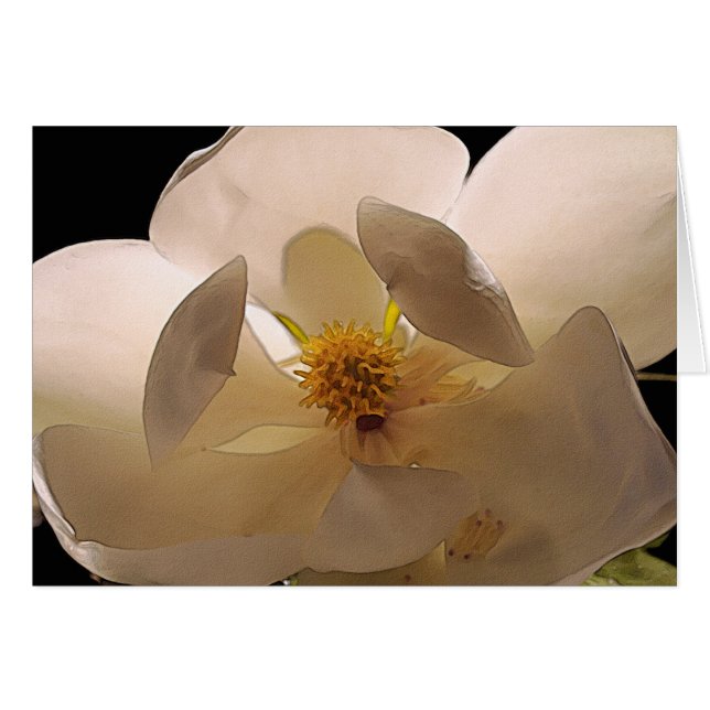 Magnolia Flower (Front Horizontal)