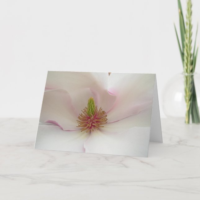 Magnolia Flower Card White Blossom Card (Front)