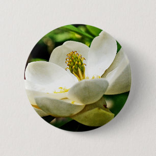 Magnolia Flower Close Up 6 Cm Round Badge