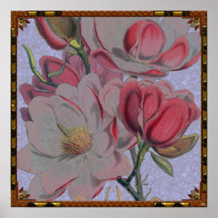 Magnolia Flower Poster