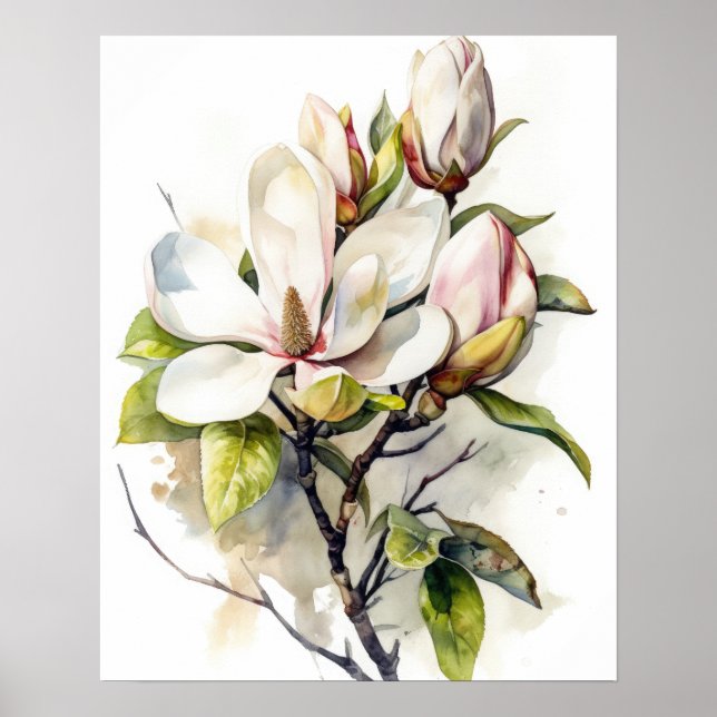 Magnolia Flowers Art Print Poster (Front)
