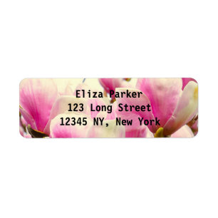 Magnolia Flowers Floral Botanical Blossom Chic