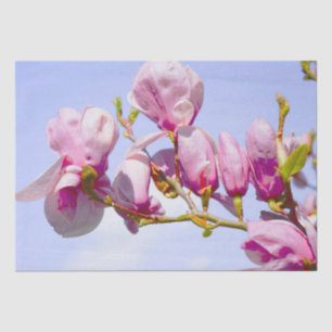 Magnolia Flowers Floral Botanical Blossom Chic Tissue Paper