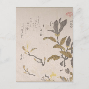 Magnolia Flowers - Kubo Shunman (Japanese) Postcard
