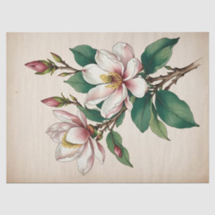 Magnolia Flowers Tissue Paper