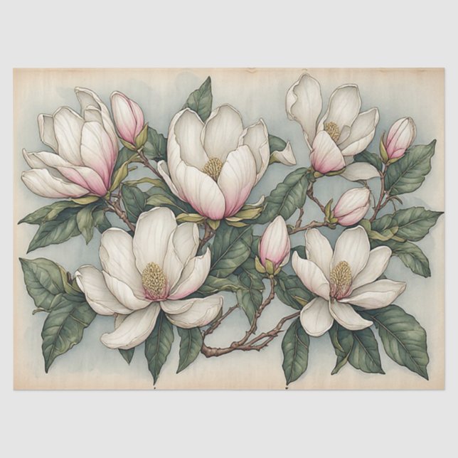 Magnolia Flowers Tissue Paper (Front)