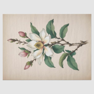 Magnolia Flowers Tissue Paper