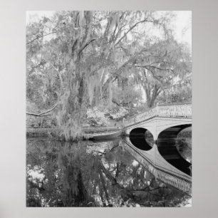 Magnolia Gardens Poster