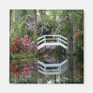 Magnolia Gardens, S.C. Magnet