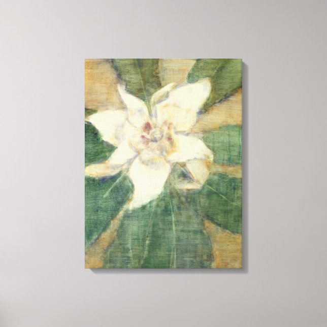 Magnolia Grandiflora Canvas Print (Front)