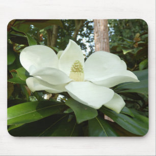 Magnolia Grandiflora Mouse Mat