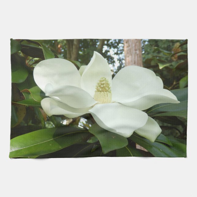 Magnolia Grandiflora Tea Towel (Horizontal)