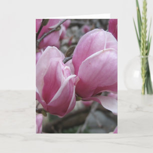 Magnolia Greeting Card
