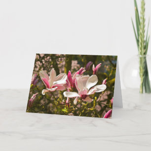 Magnolia Greeting Card