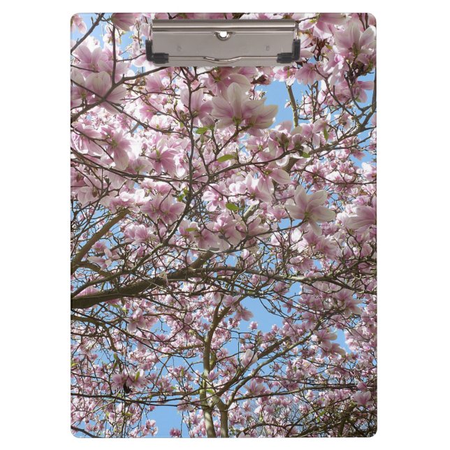 Magnolia in April Clipboard (Front)