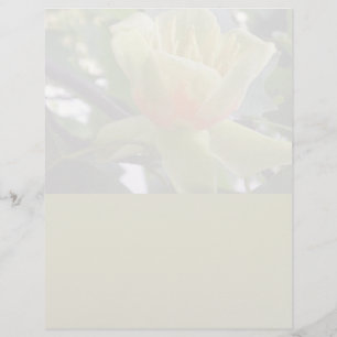 Magnolia letterhead stationery recycled paper