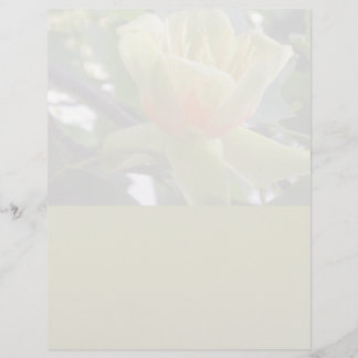 Magnolia letterhead stationery recycled paper