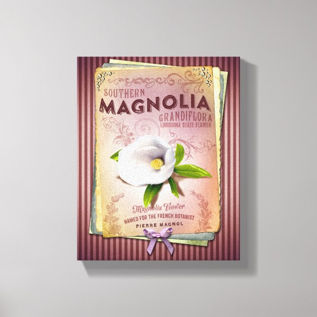 Magnolia Louisiana's State Flower Canvas Print (Front)