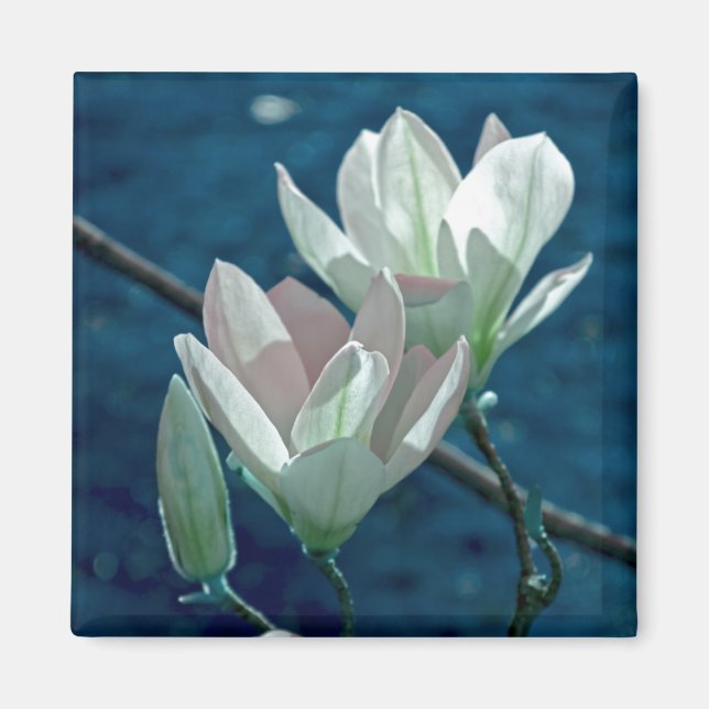 Magnolia Magnet (Front)