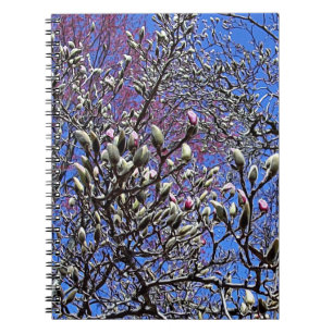 Magnolia, Mass of Buds Spiral Notebook