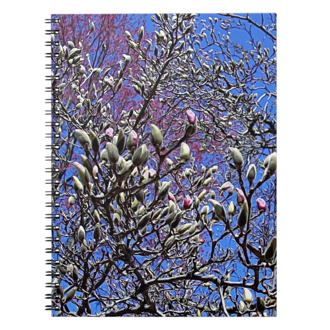 Magnolia, Mass of Buds Spiral Notebook (Front)