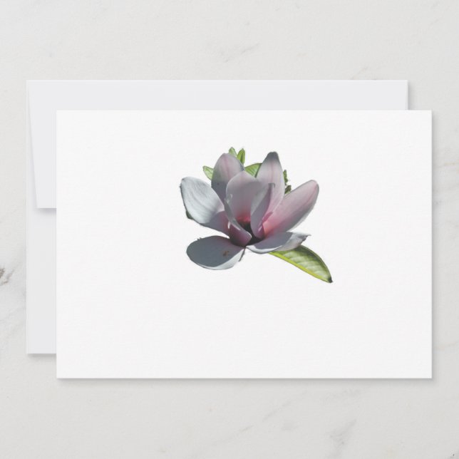 Magnolia Modern Simple Elegant Wedding Ideas (Front)